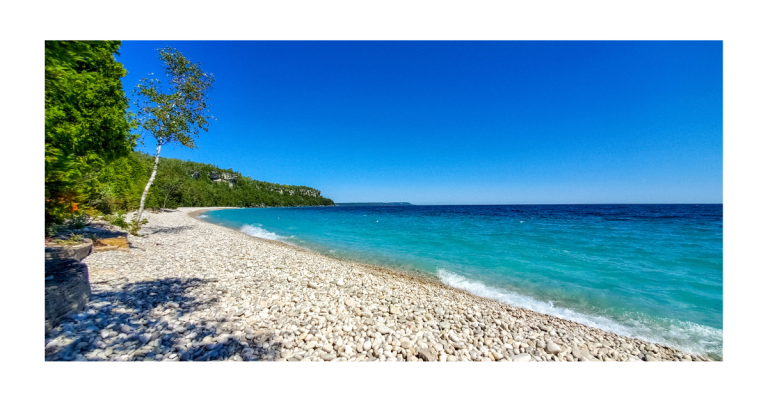 Photo Shayari That Enhances Visual Stories With Emotion, Meaning, and Expression