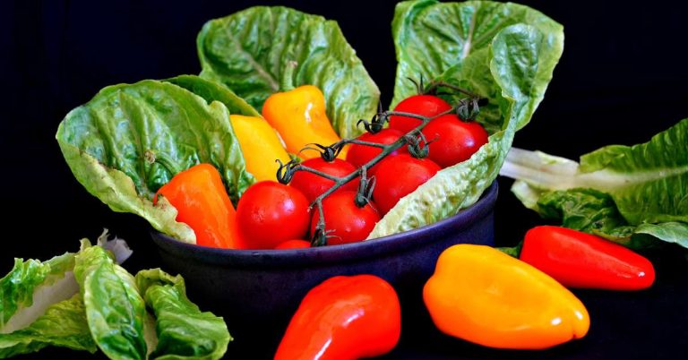 Meeting the Daily Nutrition Quota for Kids: A Practical Guide for Parents